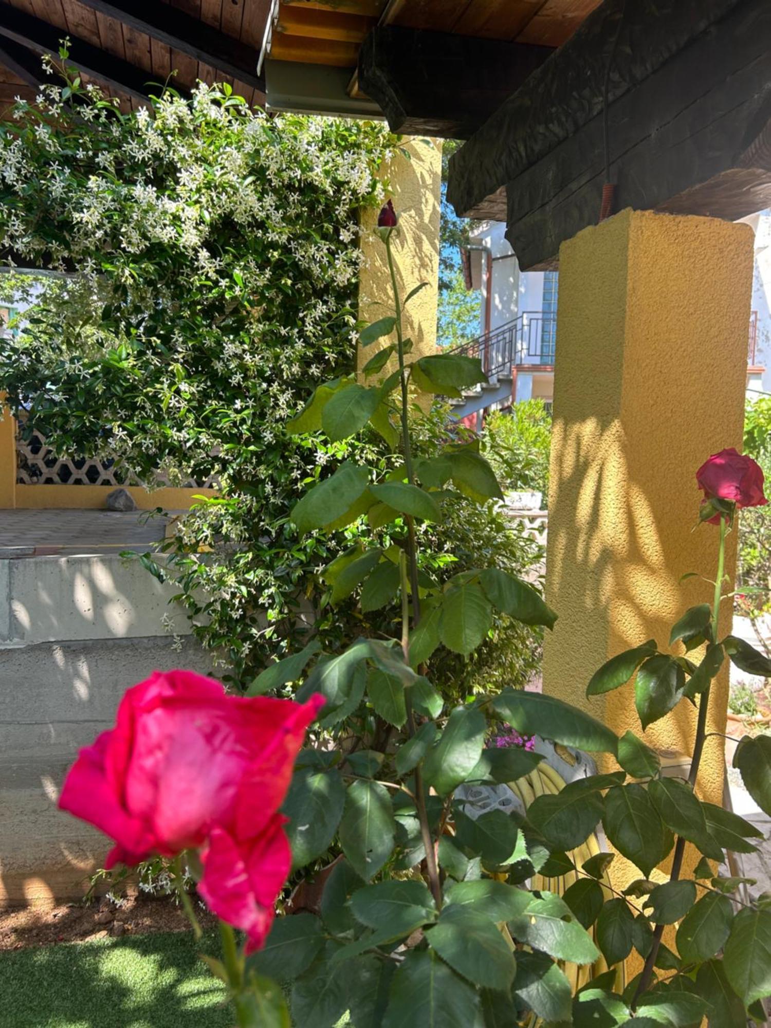 Apartmani Grguric Kornić Kültér fotó